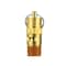 Dewalt Pressure Relief Valve; 200 PSI ASME DXCM136-0007 - alternate 7
